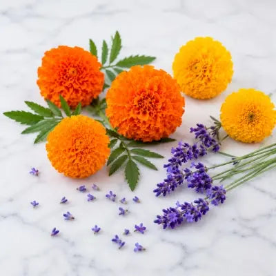 Marigold Powder