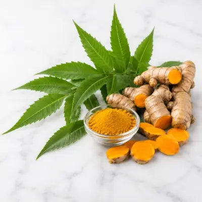 Turmeric (Haridra)