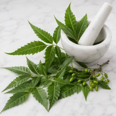 Neem (Nimba)
