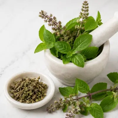 Tulsi