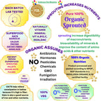 Organic Oats Cereal