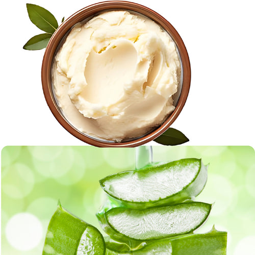 Shea & Aloevera
