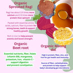 Maaiee organic sprouted ragi moong dal beetroot cereal made from clean grains